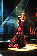 1204525112_Flamenco Show 1_240x180