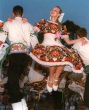 1204616829_Czech Republic folk music 2_800x600